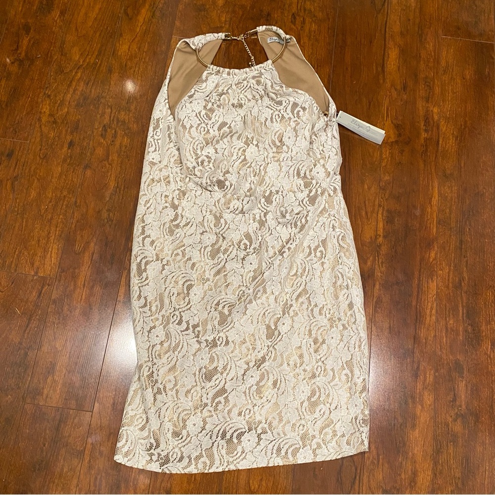 NWT | Eliza J Dress